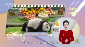 一级爱一级做a性视频